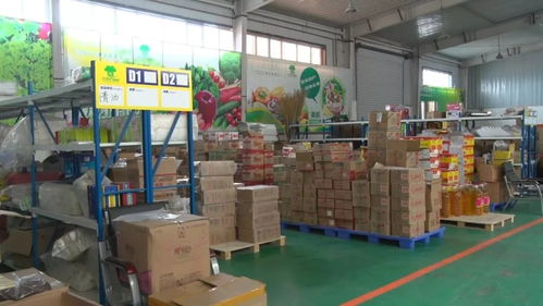 奇臺縣政協視察電子商務工作，推動服務升級賦能縣域發展